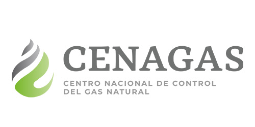 Logo_cenagas